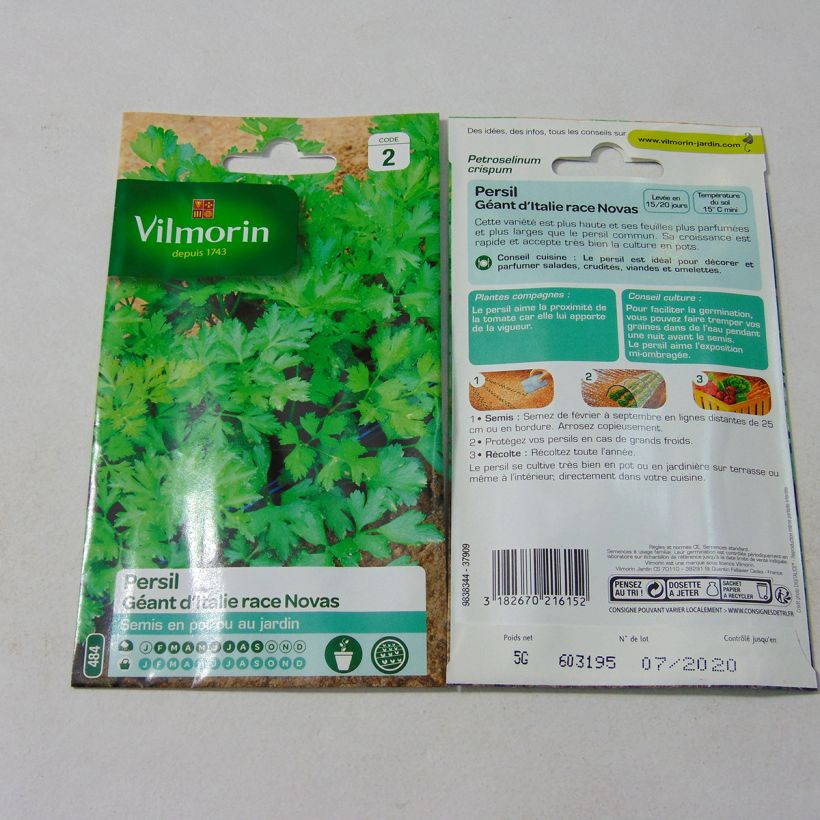 Exemple de spécimen de Persil Géant d'Italie race Novas - Vilmorin Graines tel que livré