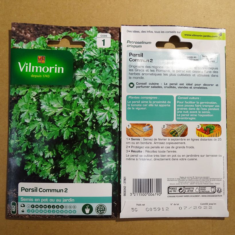 Exemple de spécimen de Persil commun 2 Officinal - Vilmorin Graines tel que livré