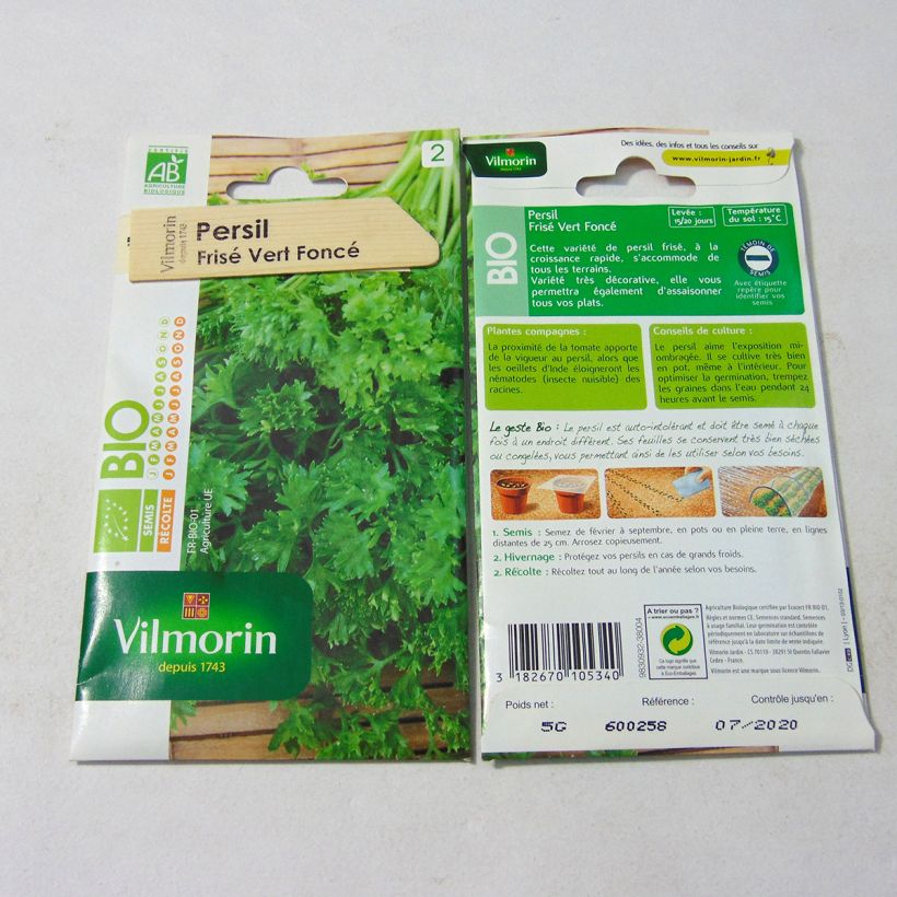 Exemple de spécimen de Persil frisé vert foncé Bio - Vilmorin Graines tel que livré