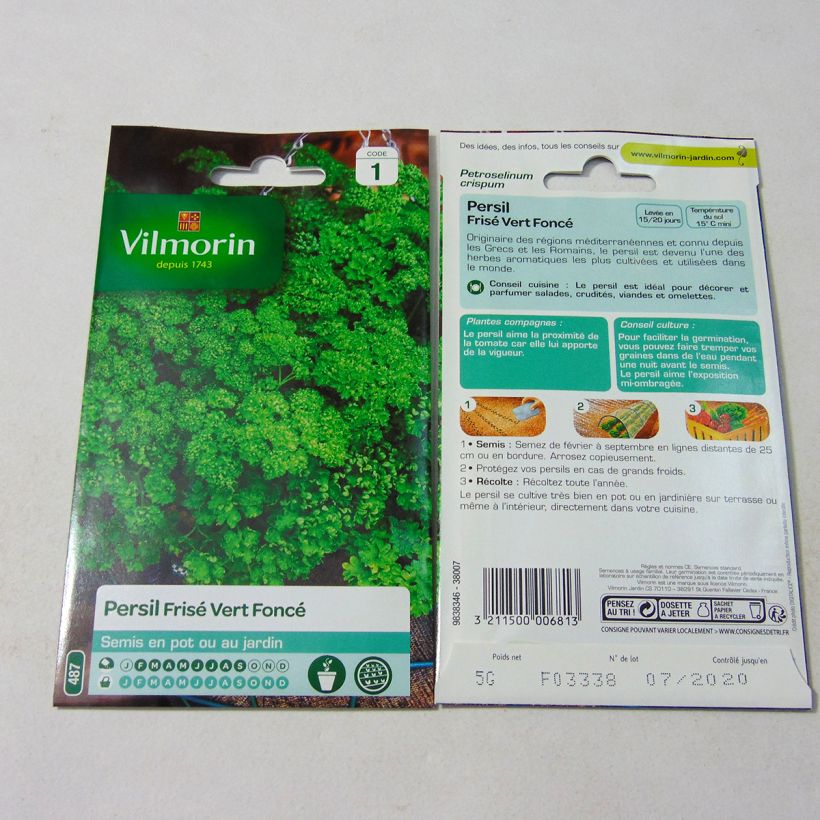Exemple de spécimen de Persil frisé vert foncé - Vilmorin Graines tel que livré