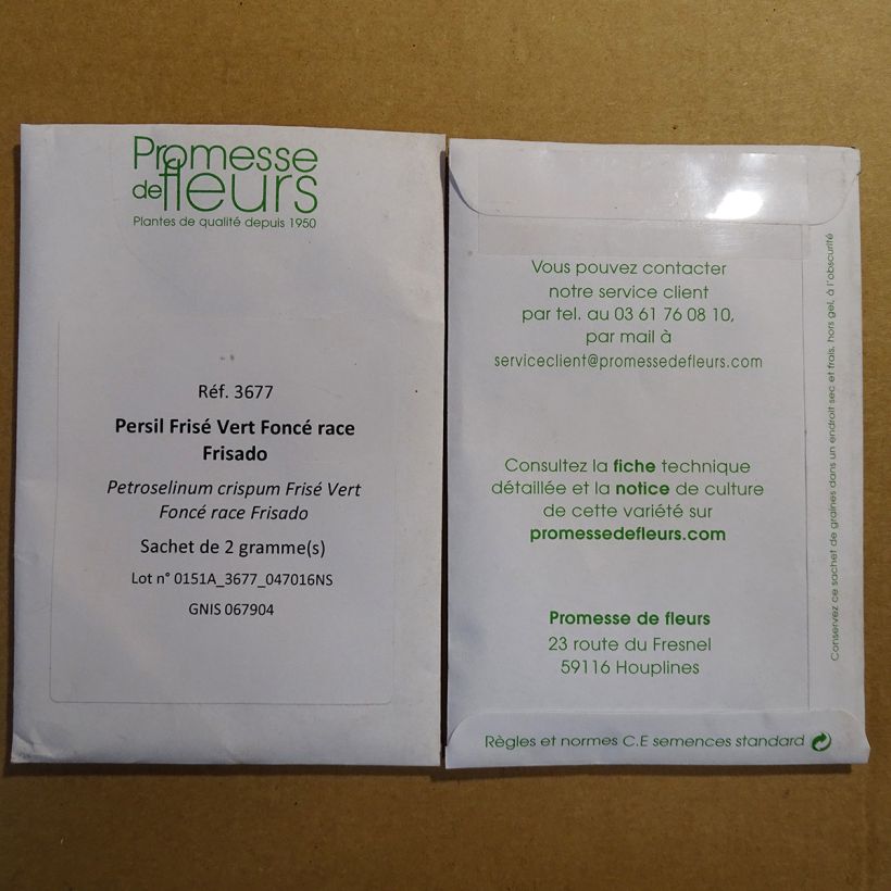 Exemple de spécimen de Persil frisé vert foncé race Frisado Graines tel que livré