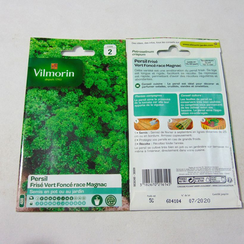 Exemple de spécimen de Persil frisé vert foncé race Magnac - Vilmorin Graines tel que livré