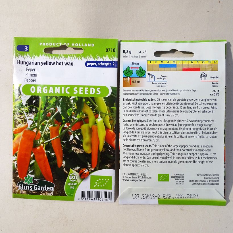 Exemple de spécimen de Piment Hungarian Yellow Wax Hot Bio Graines tel que livré