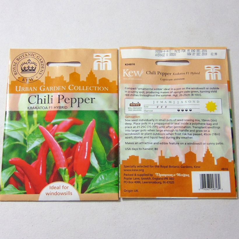 Exemple de spécimen de Piment Krakatoa - Capsicum annuum Graines tel que livré