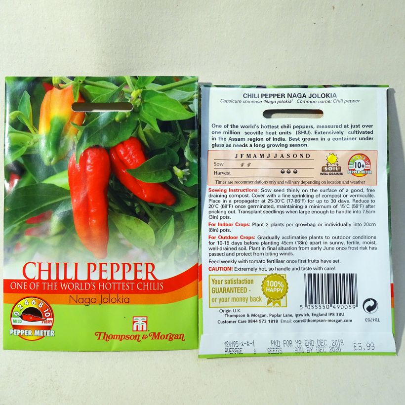 Exemple de spécimen de Piment Naga Jolokia - Capsicum annuum Graines tel que livré