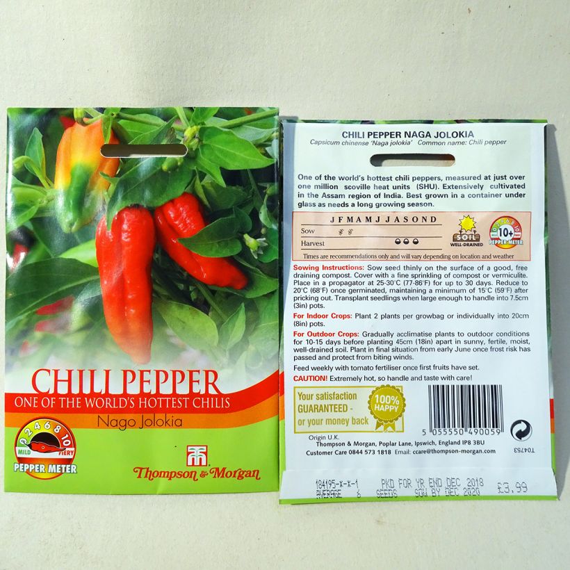 Exemple de spécimen de Piment Naga Jolokia - Capsicum annuum tel que livré