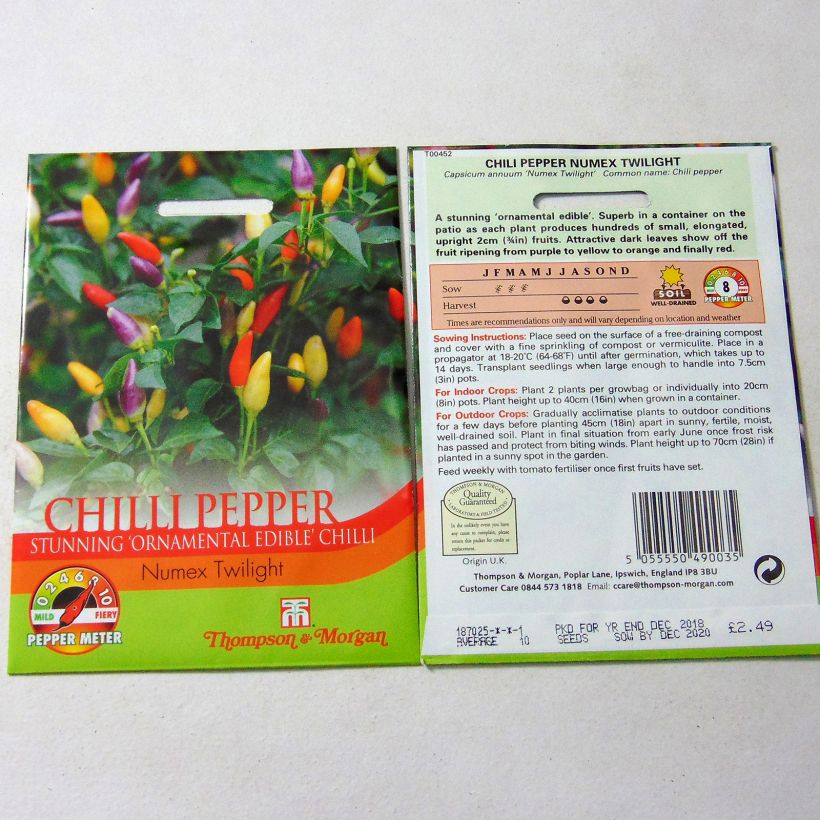 Exemple de spécimen de Piment Numex Twilight - Capsicum annuum tel que livré