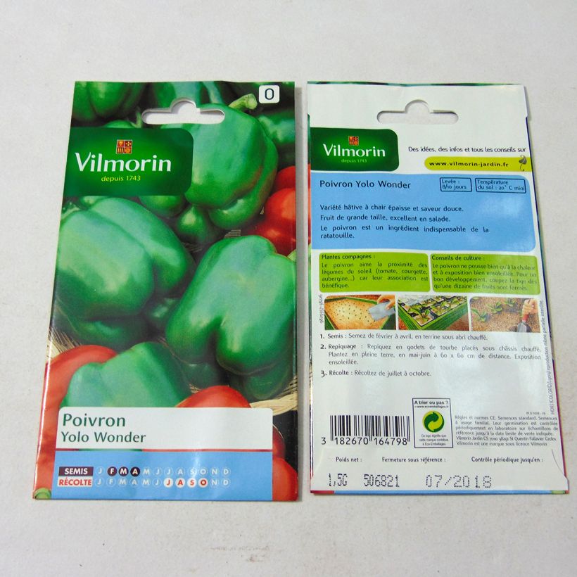 Exemple de spécimen de Piment doux d'Espagne Yolo Wonder - Poivron - Vilmorin Graines tel que livré