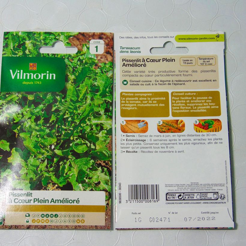 Exemple de spécimen de Pissenlit à Cœur Plein amélioré - Vilmorin Graines tel que livré