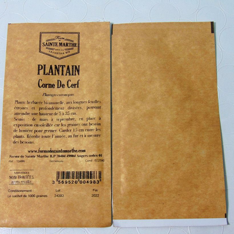 Exemple de spécimen de Plantain Corne de Cerf NT - Ferme de Sainte Marthe Graines tel que livré