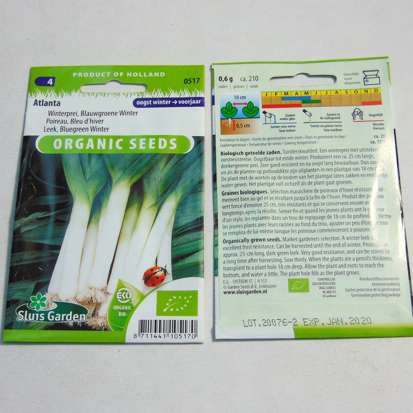 Exemple de spécimen de Poireau Bleu d’hiver Atlanta Bio - Allium porrum le sachet de 210 graines tel que livré
