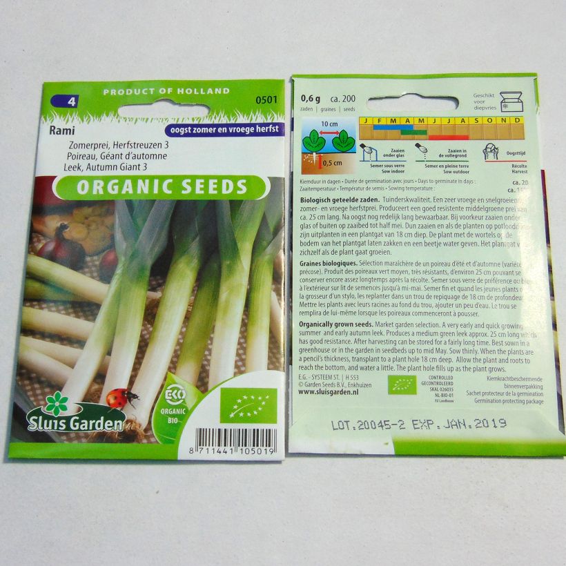 Exemple de spécimen de Poireau Géant d’automne 3 Rami Bio - Allium porrum Graines tel que livré