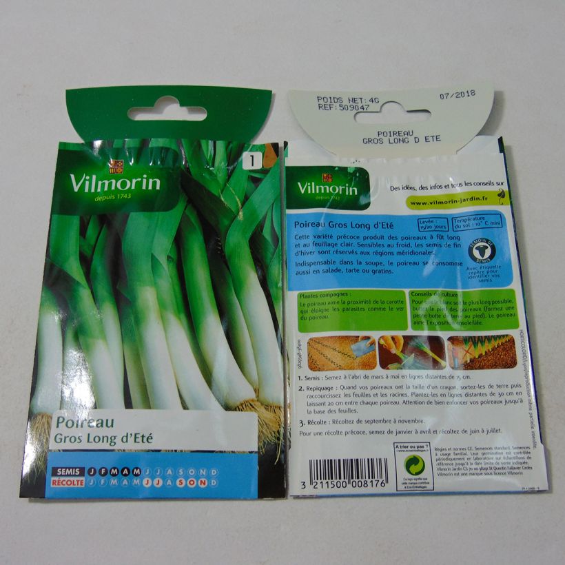 Exemple de spécimen de Poireau Gros Long d'Eté 2 - Vilmorin Graines tel que livré