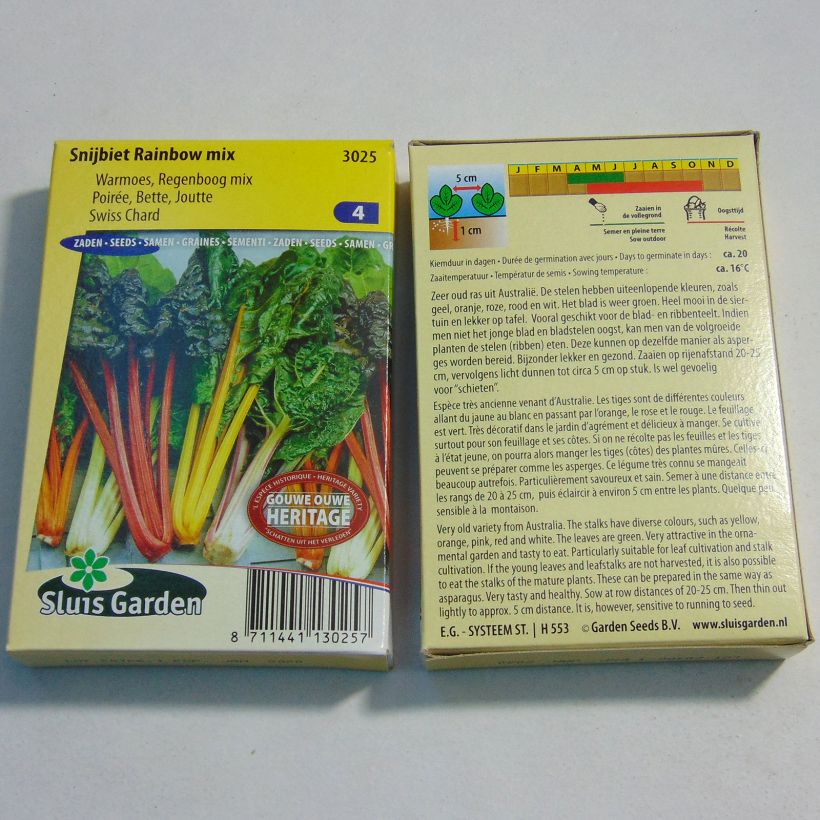 Exemple de spécimen de Poirée Rainbow mix - Blette Arc-en-ciel - Beta vulgaris Graines tel que livré