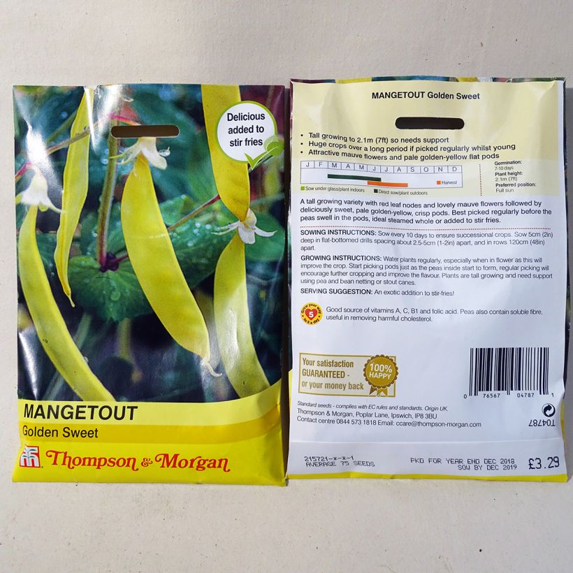 Exemple de spécimen de Pois à rames Golden Sweet mangetout - Pisum sativum tel que livré