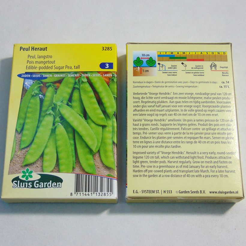 Exemple de spécimen de Pois à rames Héraut mangetout - Pisum sativum Graines tel que livré
