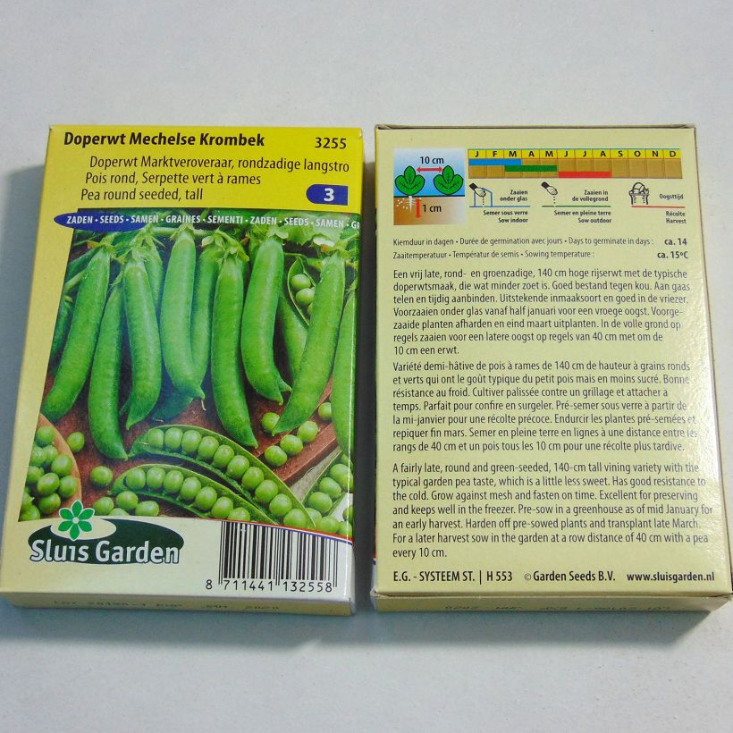 Exemple de spécimen de Pois à rames Serpette verte de Malines (Mechelse Krombek) - Pisum sativum Graines tel que livré