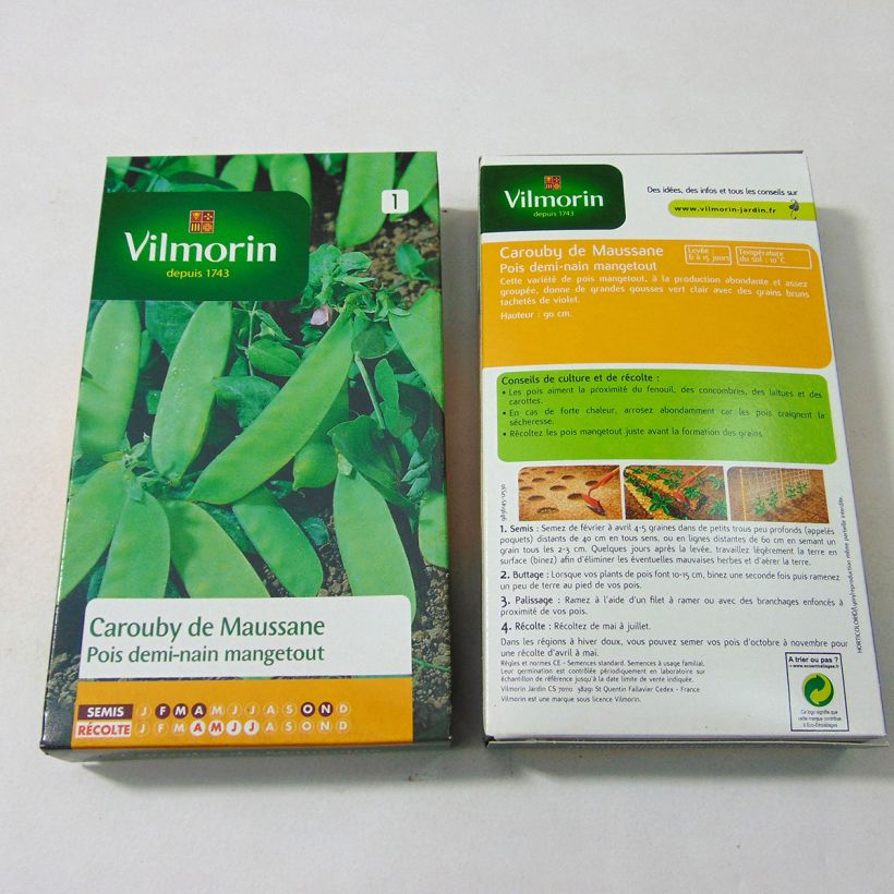 Exemple de spécimen de Pois demi-ramant Carouby de Maussane mangetout - Vilmorin Graines tel que livré