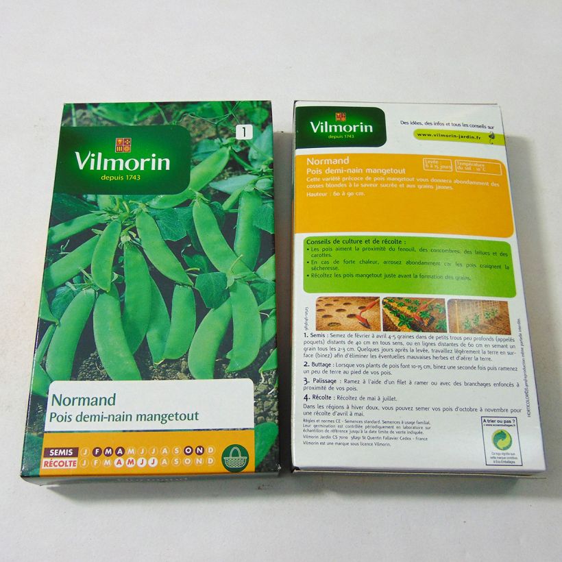 Exemple de spécimen de Pois demi-ramant Normand mangetout - Vilmorin Graines tel que livré