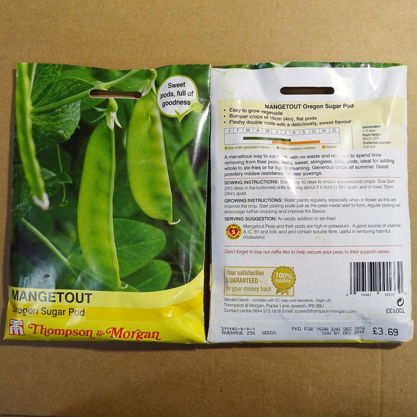 Exemple de spécimen de Pois demi-ramant Oregon Sugar Pod mangetout - Pisum sativum tel que livré