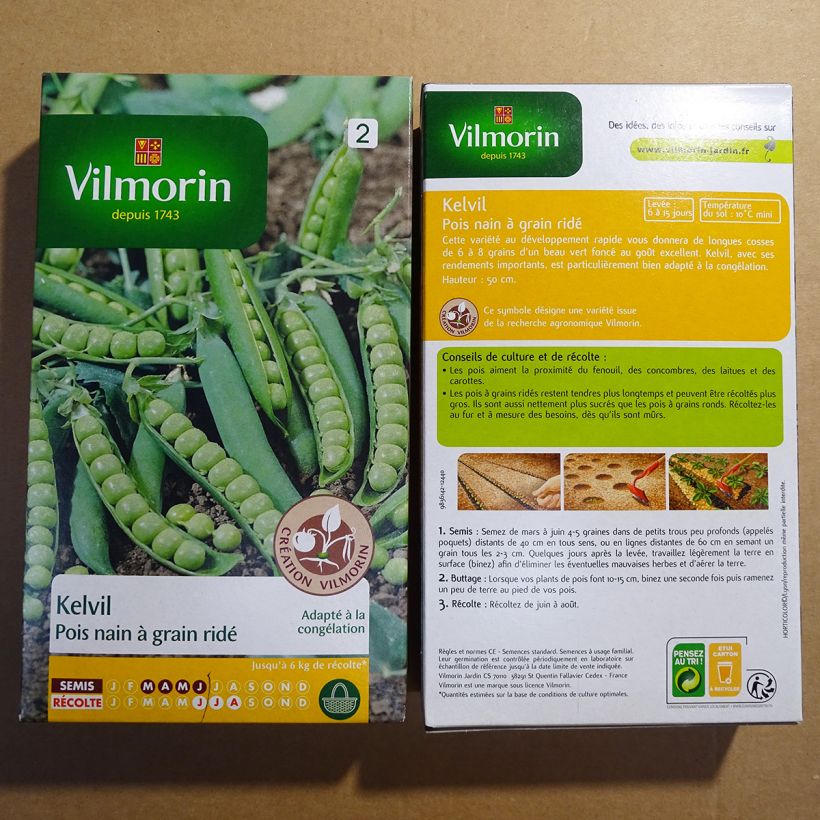 Exemple de spécimen de Pois nain Kelvil à grain ridé (Création Vilmorin) - Vilmorin Graines tel que livré