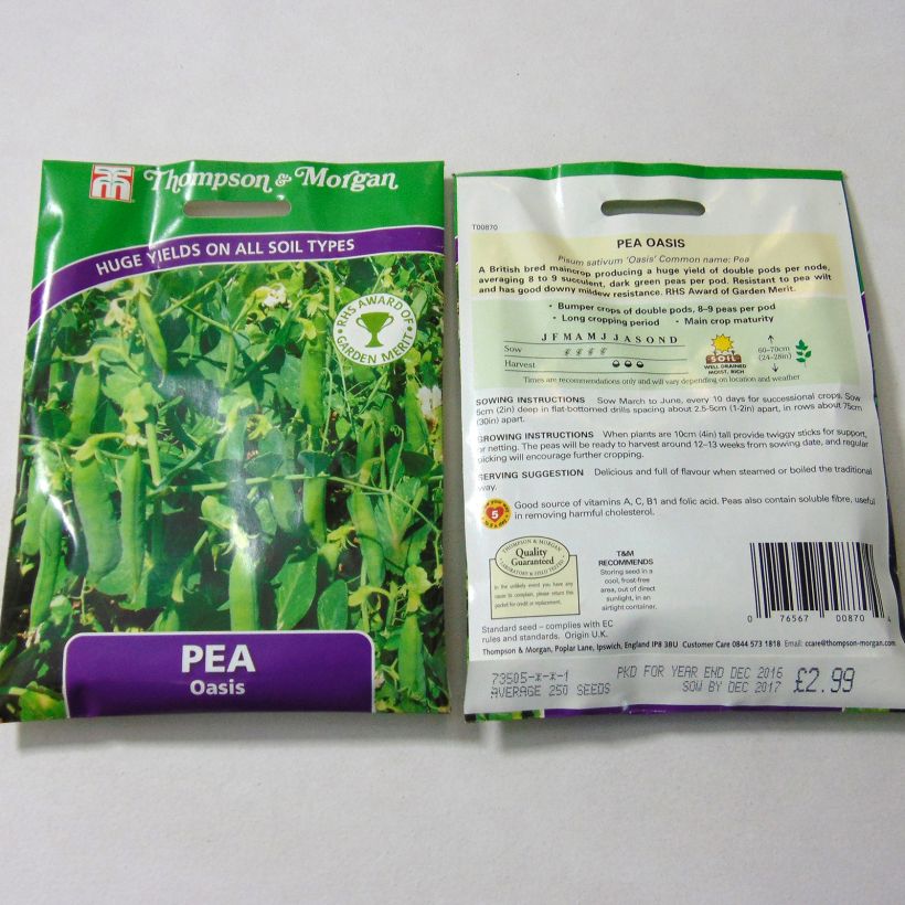 Exemple de spécimen de Pois nain Oasis le sachet de 250 graines tel que livré