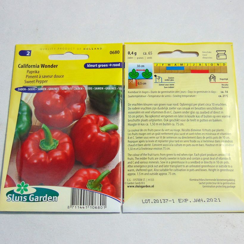 Exemple de spécimen de Poivron California Wonder - Piment à saveur douce Graines tel que livré