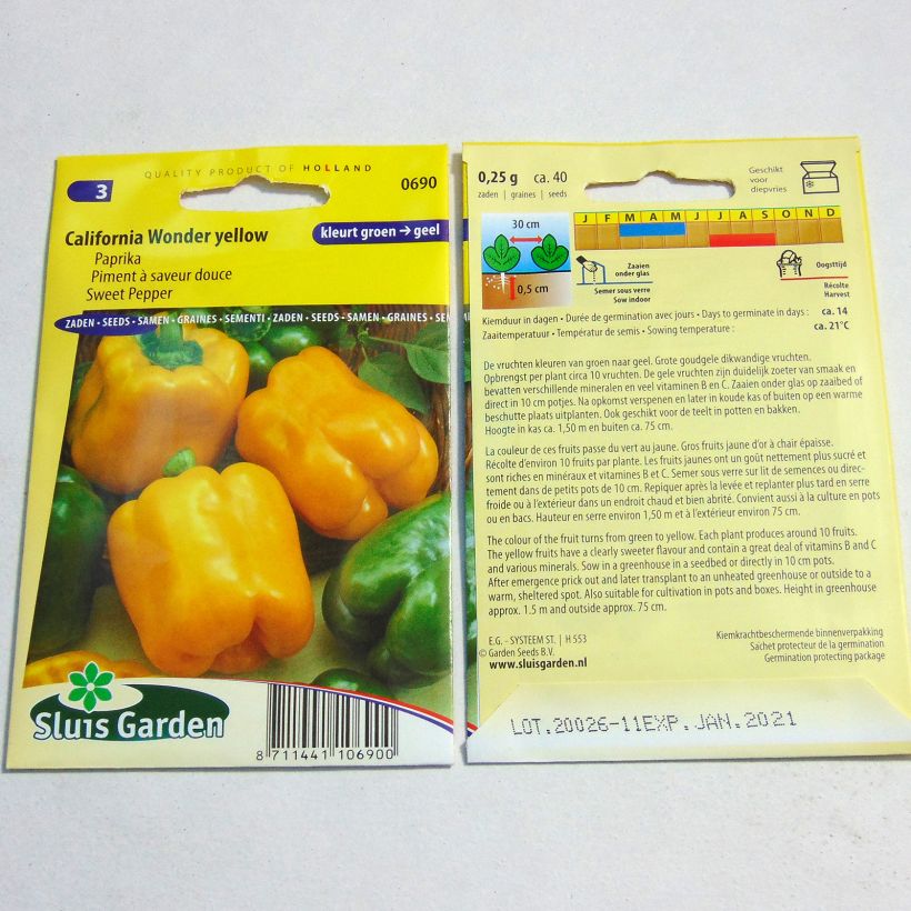 Exemple de spécimen de Poivron Golden Calwonder - Piment à saveur douce Graines tel que livré