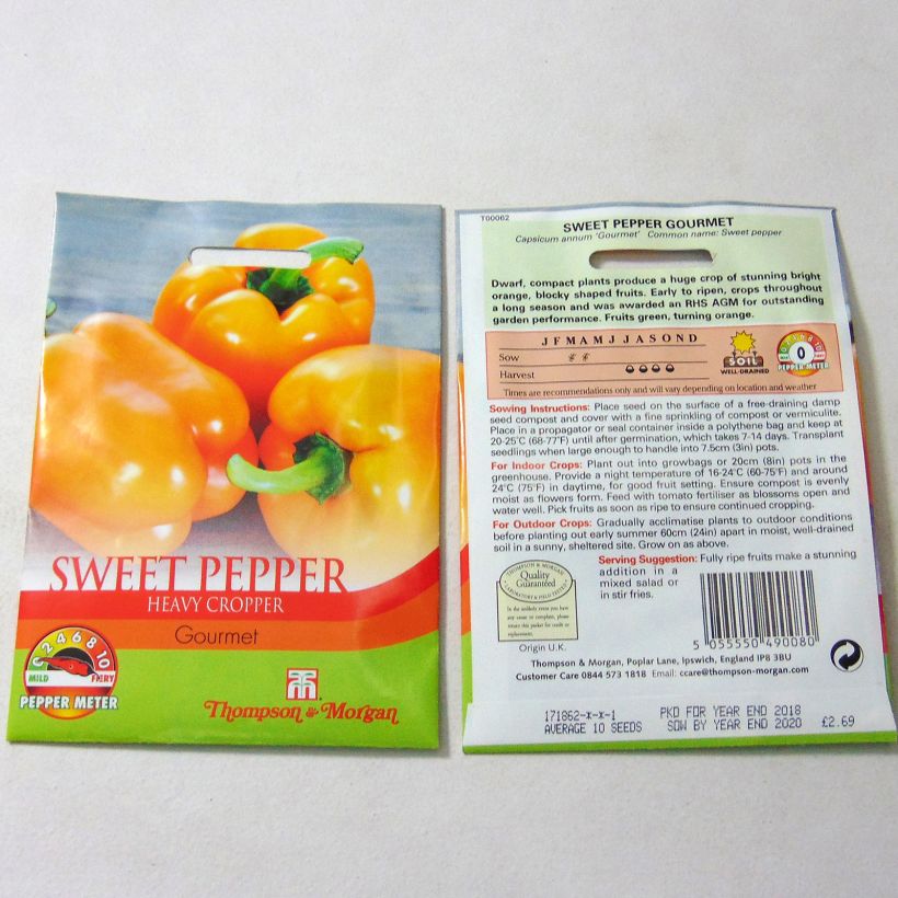 Exemple de spécimen de Poivron Gourmet - Capsicum annuum Graines tel que livré
