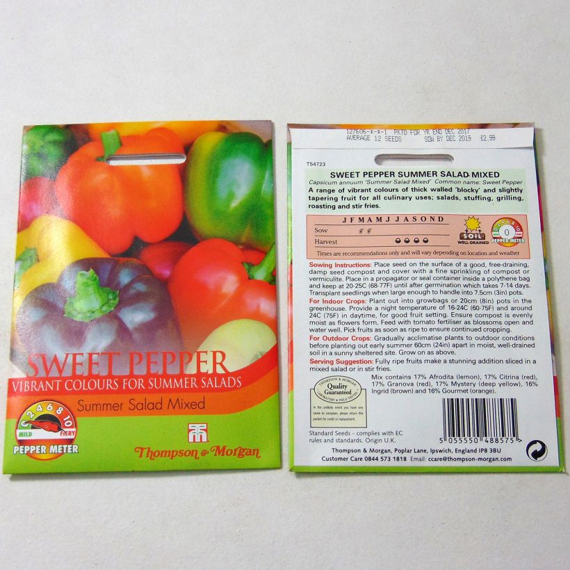 Exemple de spécimen de Poivron Summer Salad Mixed - Capsicum annuum Graines tel que livré
