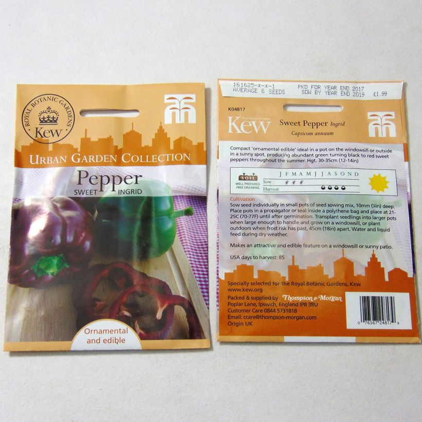 Exemple de spécimen de Poivron Sweet Ingrid - Capsicum annuum Graines tel que livré