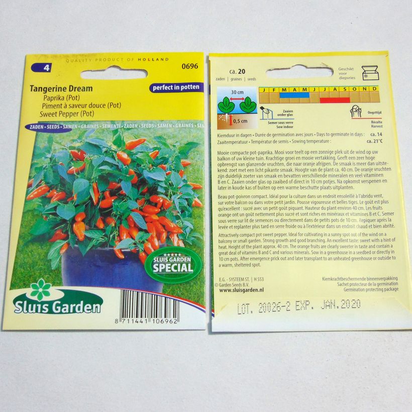 Exemple de spécimen de Poivron Tangerine Dream - Capsicum annuum Graines tel que livré