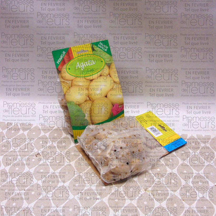 Exemple de spécimen de Pommes de terre Agata tel que livré