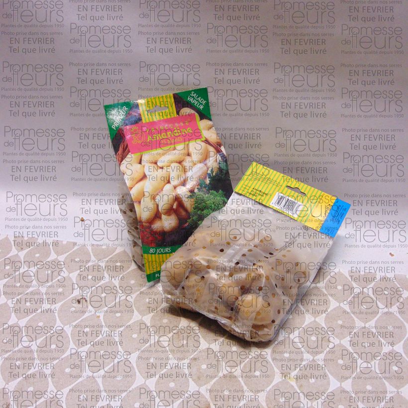 Exemple de spécimen de Pommes de terre Amandine tel que livré