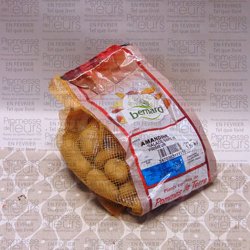 Exemple de spécimen de Pommes de terre Amandine tel que livré