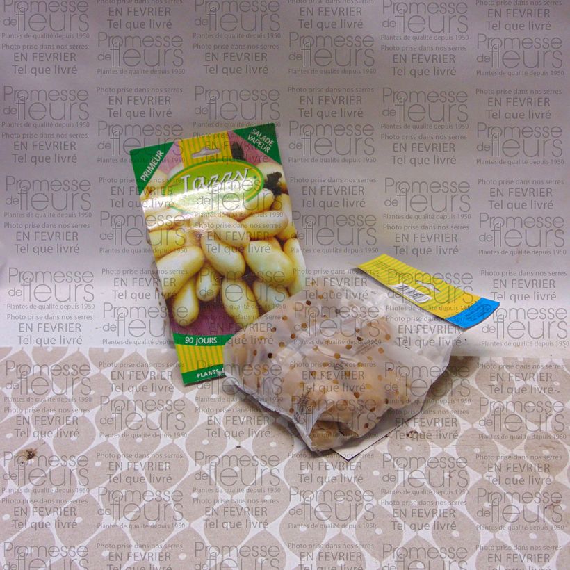 Exemple de spécimen de Pommes de terre Jazzy tel que livré