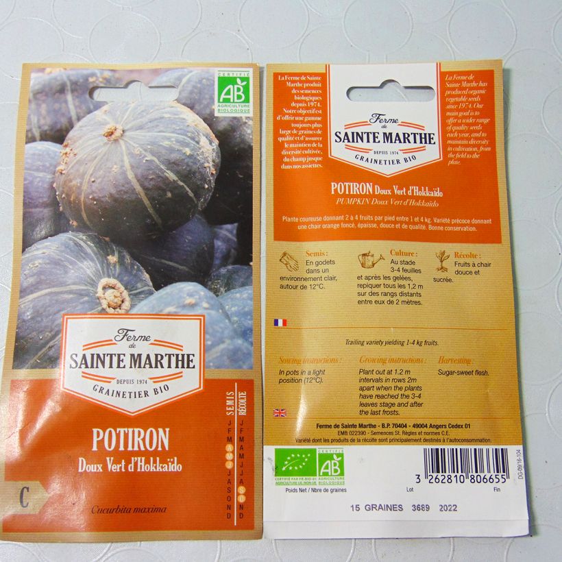 Exemple de spécimen de Potiron Doux Vert d'Hokkaido Bio - Ferme de Sainte Marthe Graines tel que livré