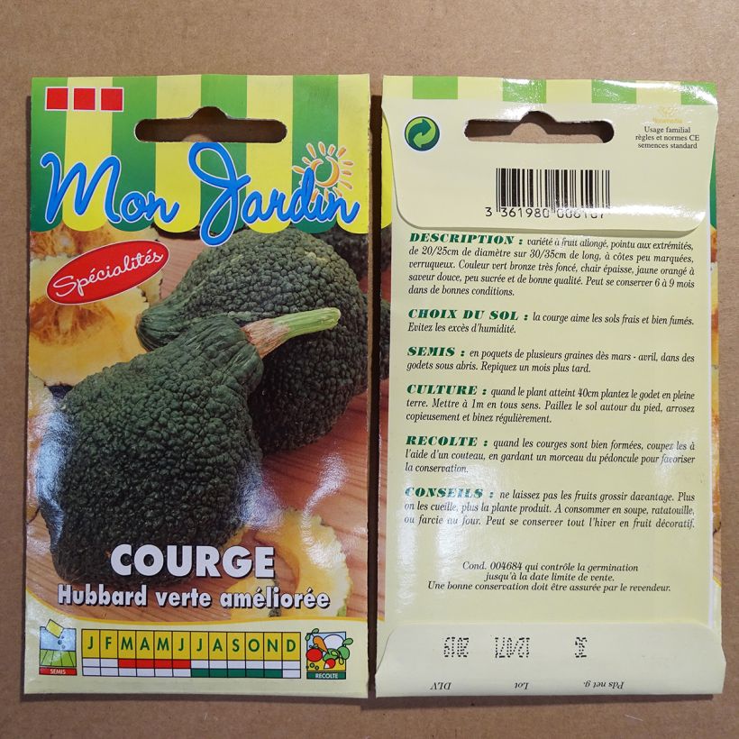 Exemple de spécimen de Potiron Green Hubbard - Cucurbita maxima Graines tel que livré