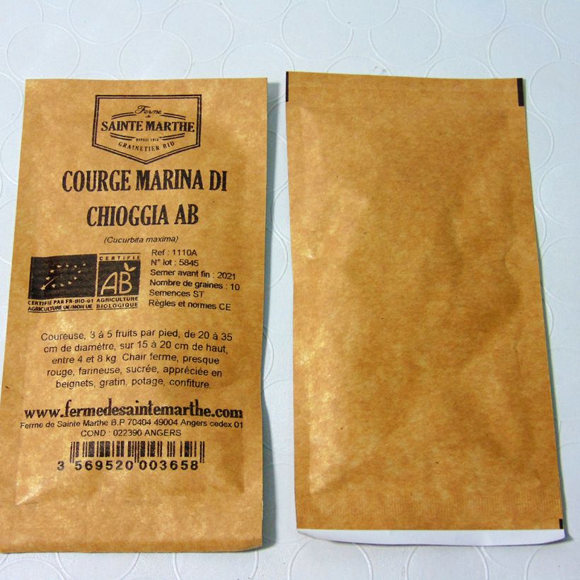 Exemple de spécimen de Potiron Marina di Chioggia Bio - Courge- Ferme de Sainte Marthe Graines tel que livré