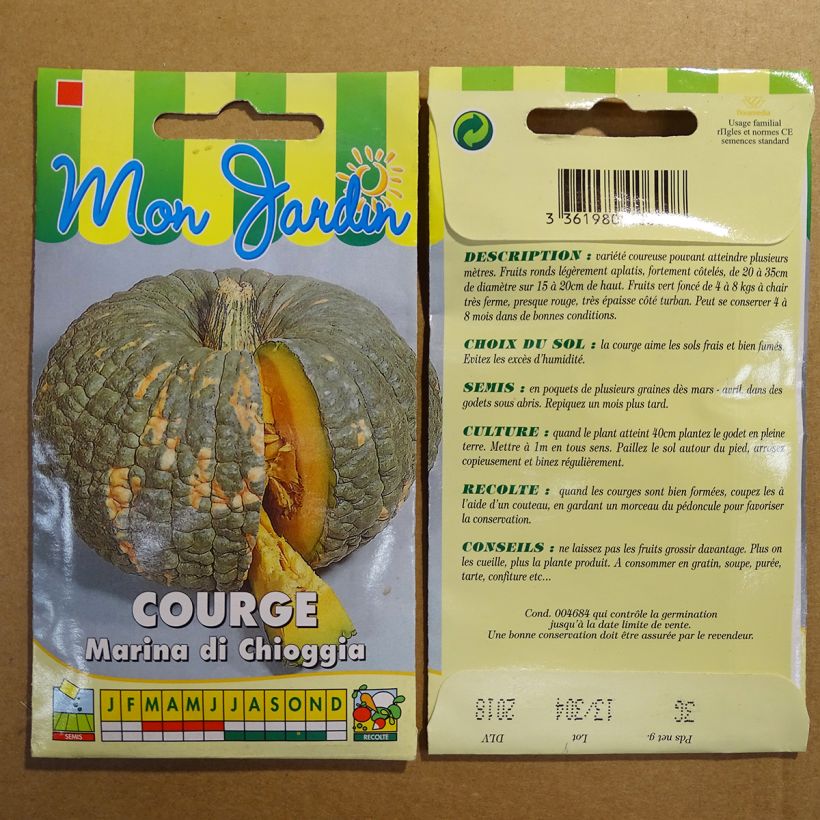 Exemple de spécimen de Potiron Marina di Chioggia - Cucurbita maxima Graines tel que livré