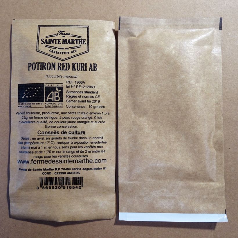 Exemple de spécimen de Potiron Red Kuri Bio - Ferme de Sainte Marthe Graines tel que livré