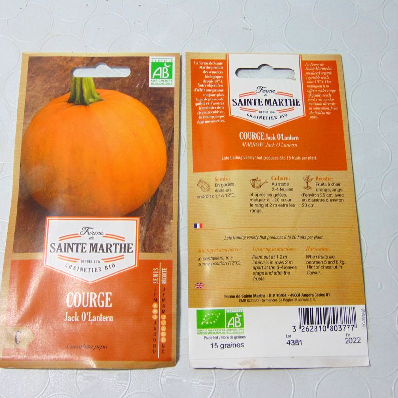 Exemple de spécimen de Citrouille d'Halloween Jack O'Lantern Bio - Ferme de Sainte Marthe Graines tel que livré