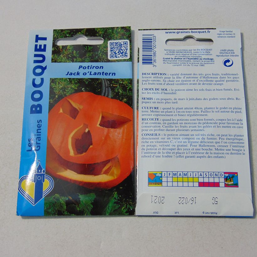 Exemple de spécimen de Potiron d'Halloween "Jack O'Lantern" - Cucurbita pepo tel que livré