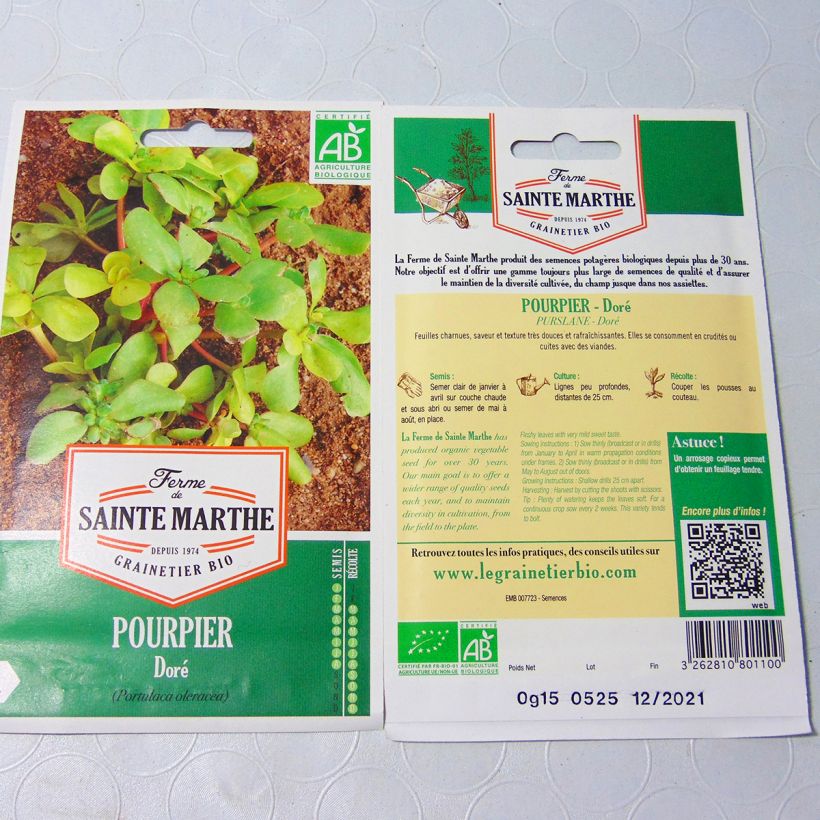 Exemple de spécimen de Pourpier Doré Bio - Ferme de Sainte Marthe Graines tel que livré