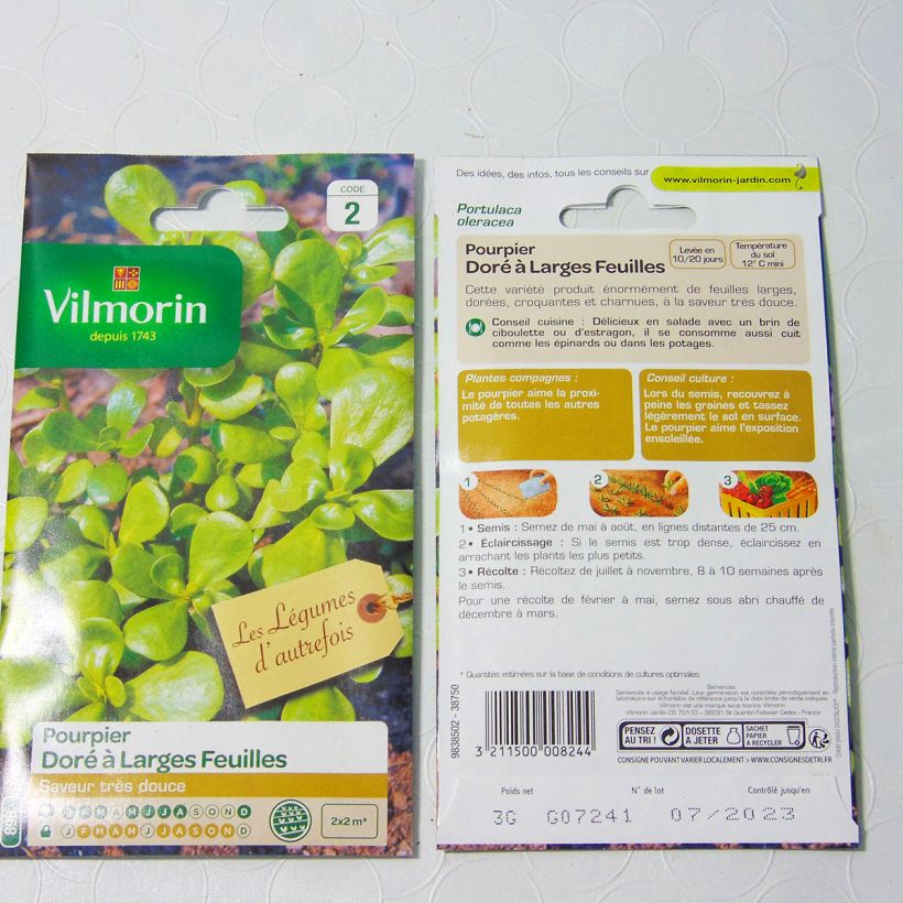 Exemple de spécimen de Pourpier doré à large feuille - Vilmorin Graines tel que livré