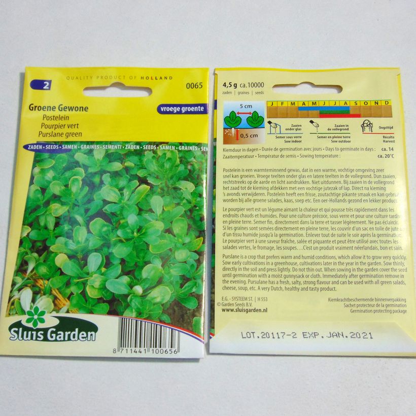 Exemple de spécimen de Pourpier vert - Portulaca oleracea le sachet de 10000 graines (4g) tel que livré