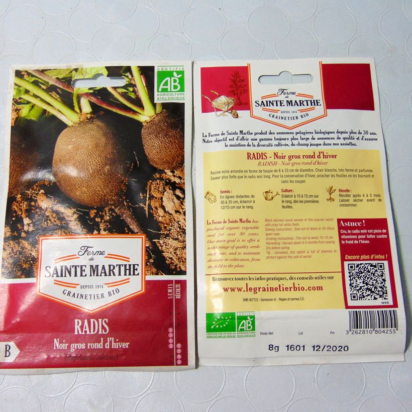 Exemple de spécimen de Radis Noir Gros Long d'Hiver Bio - Ferme de Sainte Marthe Graines tel que livré