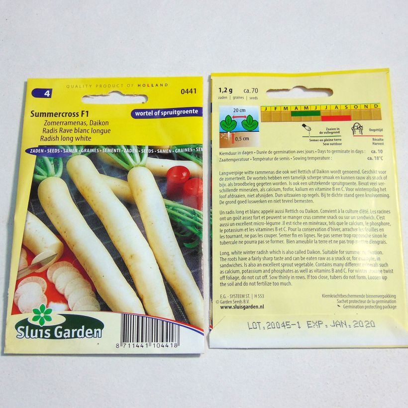 Exemple de spécimen de Radis Rave blanc Summercross F1 - Daïkon - Raphanus sativus var. longipinnatus Graines tel que livré