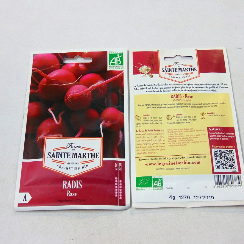 Exemple de spécimen de Radis Rond Rouge Raxe Bio - Ferme de Sainte Marthe tel que livré