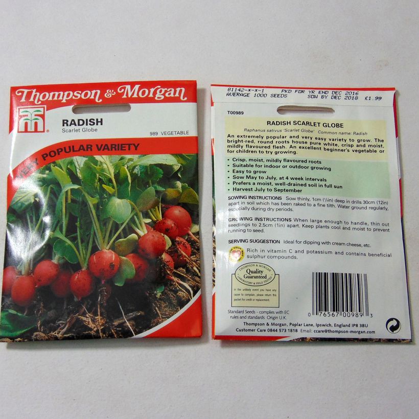 Exemple de spécimen de Radis Scarlet Globe - Raphanus sativus Graines tel que livré